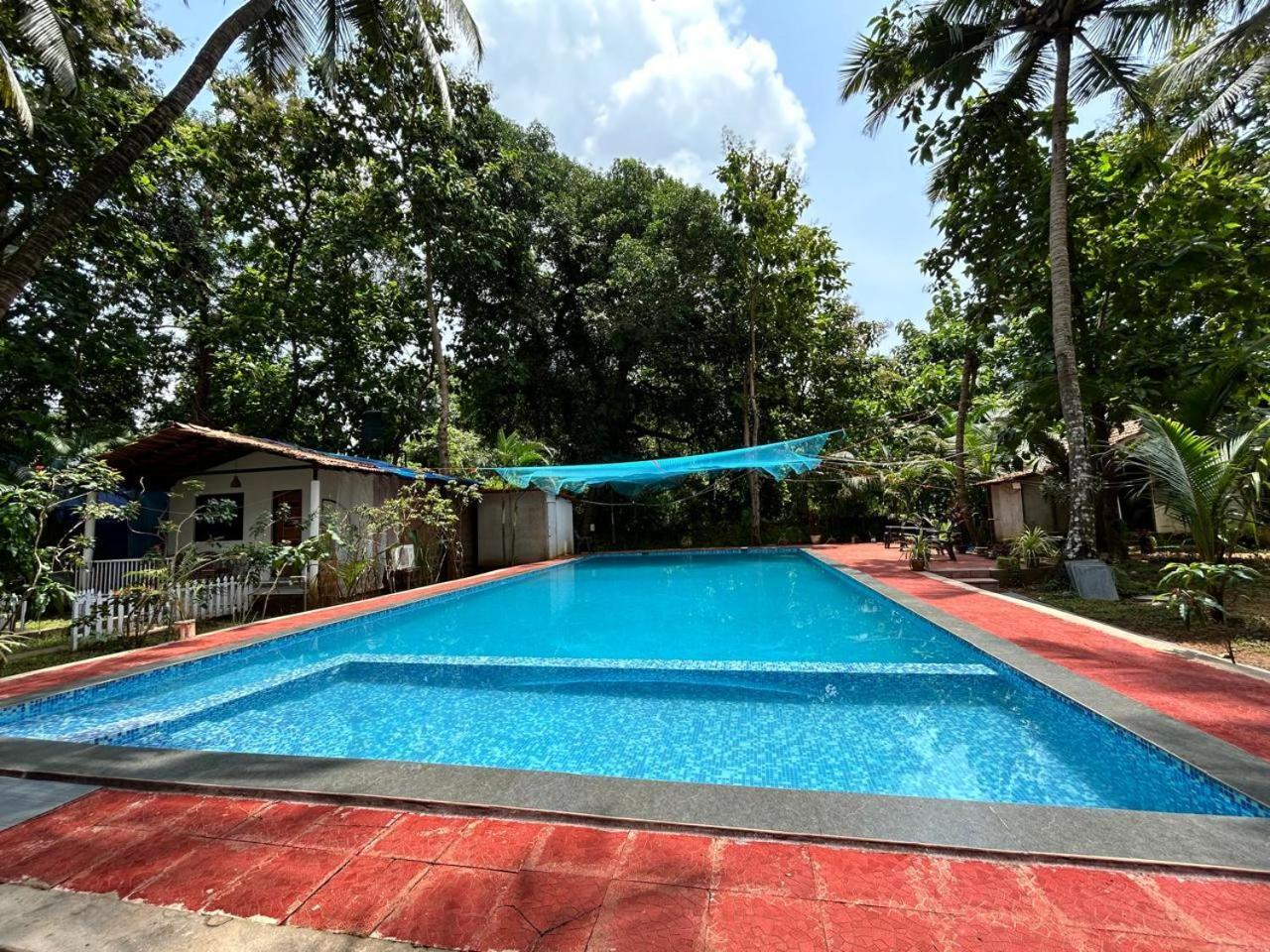 King Villa Goa Palolem Extérieur photo